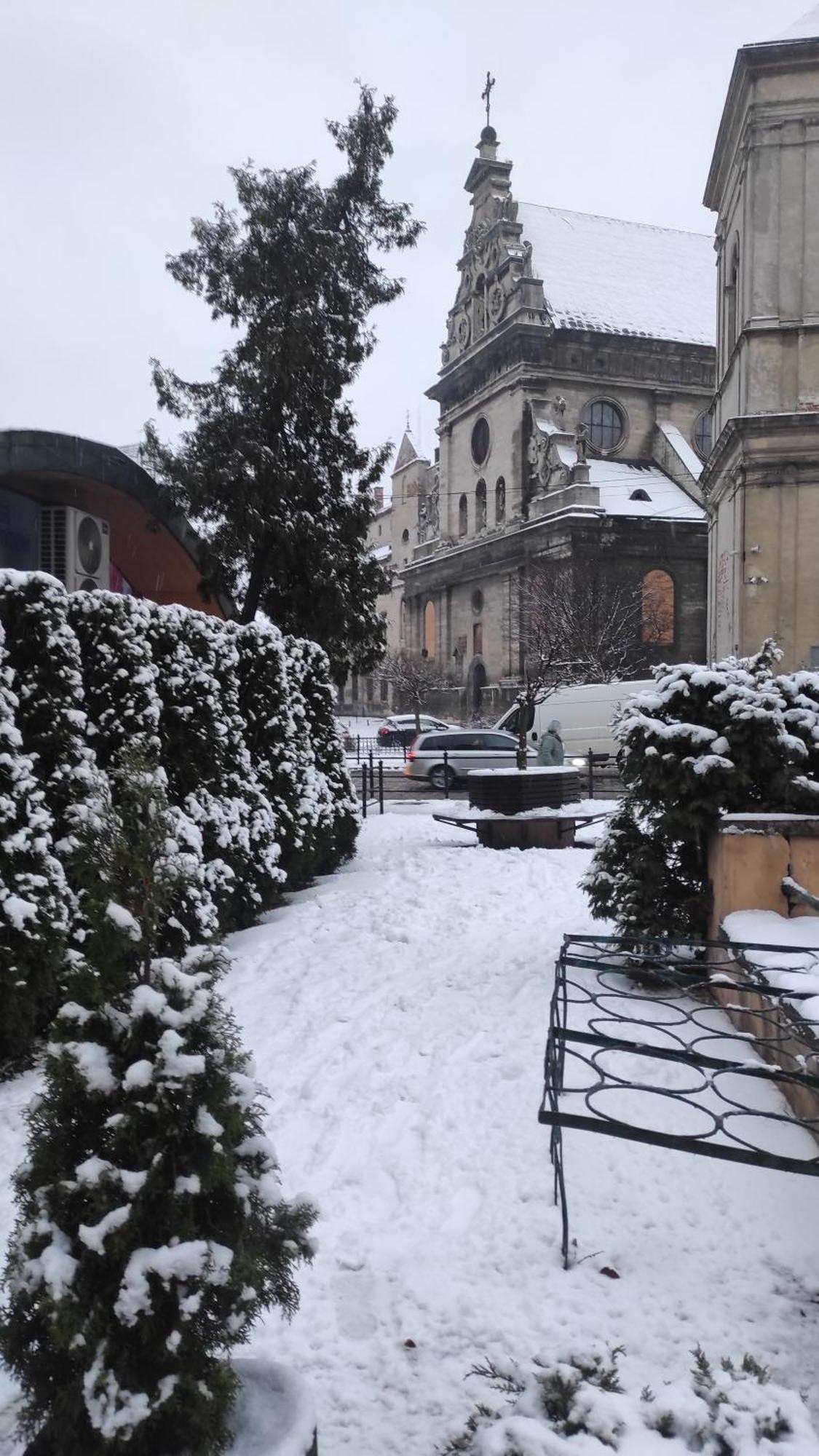 Двокімнатна Квартира В Центрі Міста Lviv Exteriör bild